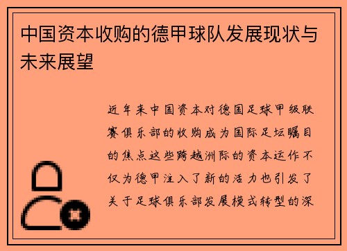 中国资本收购的德甲球队发展现状与未来展望
